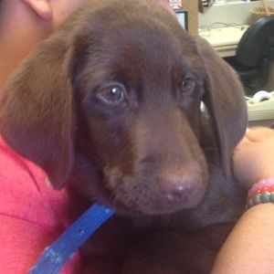 Meet your Posher, Robert